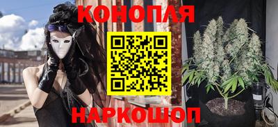 каннабис Новокубанск