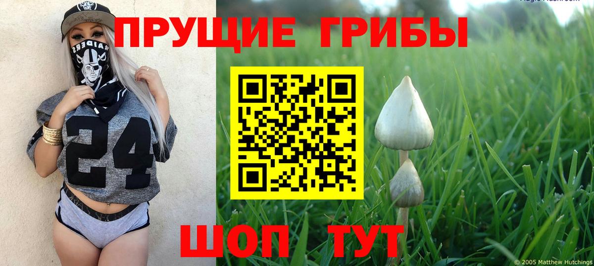 Галлюциногенные грибы Magic Shrooms Тихорецк