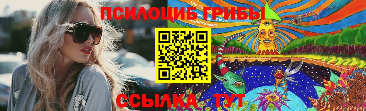 Галлюциногенные грибы Psilocybe  Галлюциногенные грибы MAGIC MUSHROOMS  Тихорецк  Вход с VPN 